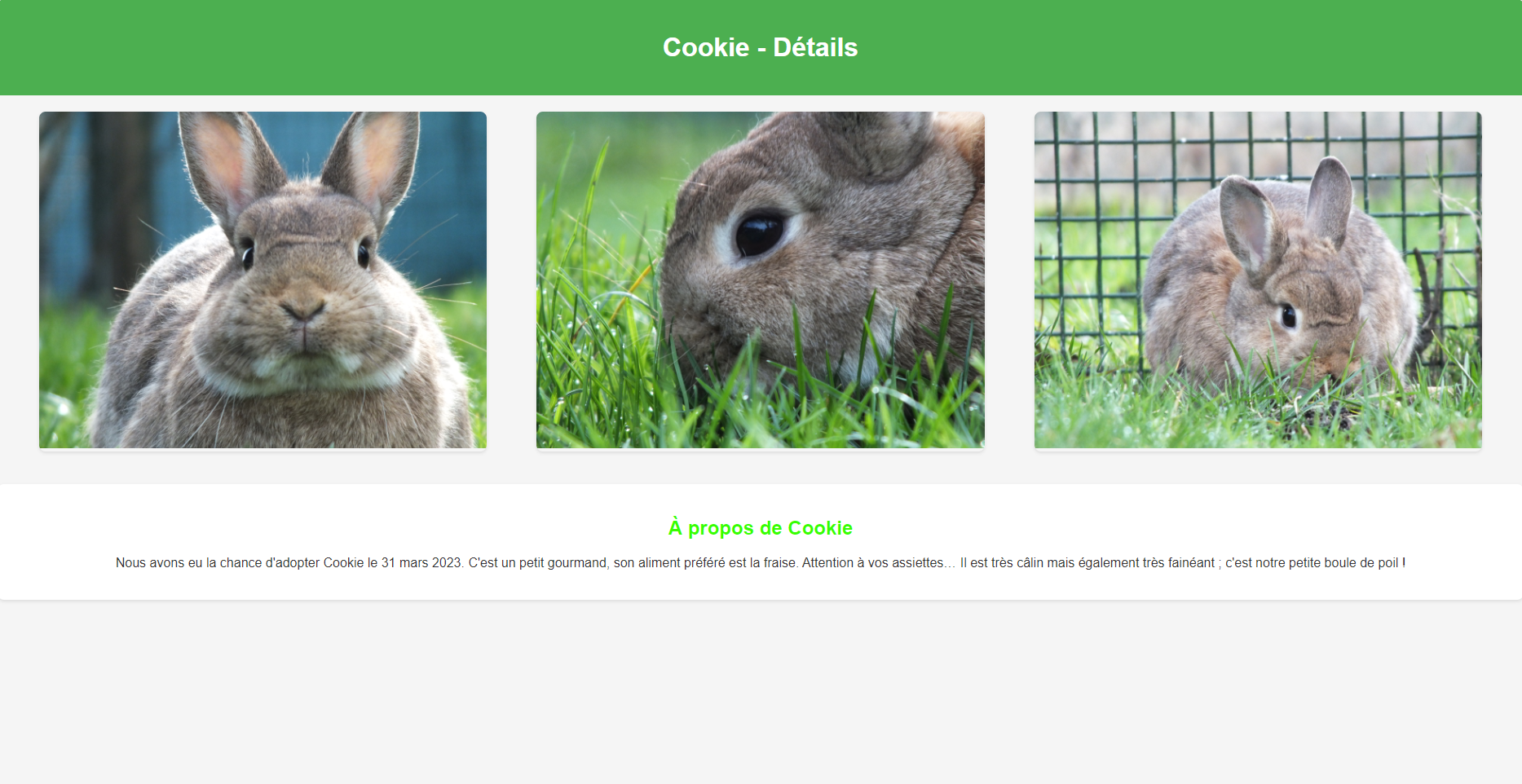 Image of the Lapin2 website